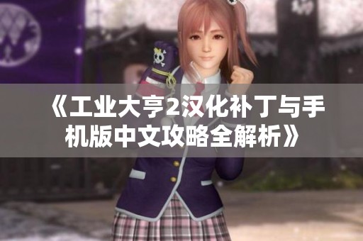 《工业大亨2汉化补丁与手机版中文攻略全解析》