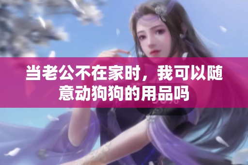 当老公不在家时，我可以随意动狗狗的用品吗