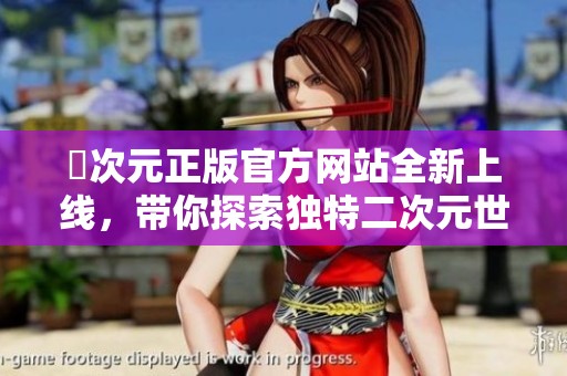 囧次元正版官方网站全新上线，带你探索独特二次元世界