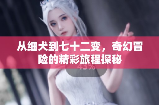 从细犬到七十二变，奇幻冒险的精彩旅程探秘