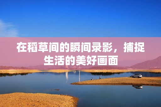 在稻草间的瞬间录影，捕捉生活的美好画面