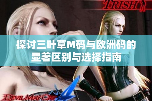 探讨三叶草M码与欧洲码的显著区别与选择指南