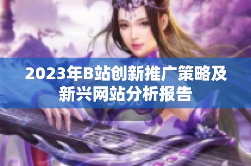 2023年B站创新推广策略及新兴网站分析报告