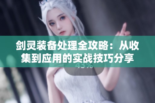 剑灵装备处理全攻略：从收集到应用的实战技巧分享