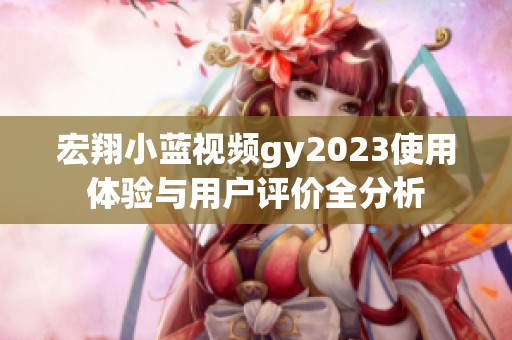 宏翔小蓝视频gy2023使用体验与用户评价全分析
