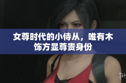 女尊时代的小侍从，唯有木饰方显尊贵身份