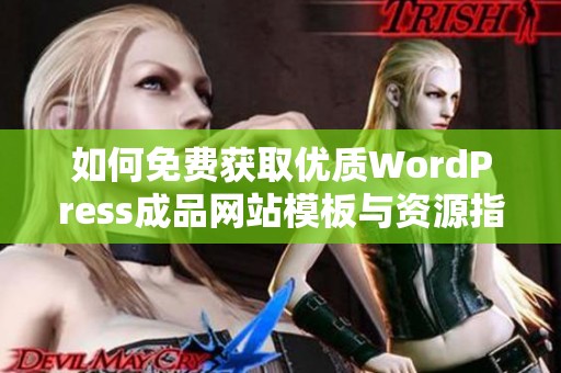 如何免费获取优质WordPress成品网站模板与资源指南