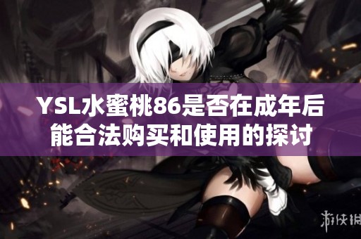 YSL水蜜桃86是否在成年后能合法购买和使用的探讨