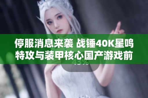 停服消息来袭 战锤40K星鸣特攻与装甲核心国产游戏前景如何