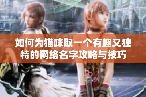 如何为猫咪取一个有趣又独特的网络名字攻略与技巧