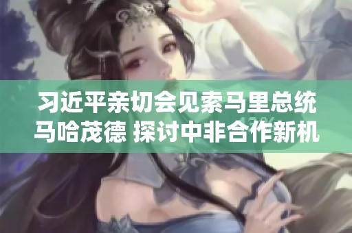 习近平亲切会见索马里总统马哈茂德 探讨中非合作新机遇