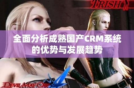 全面分析成熟国产CRM系统的优势与发展趋势