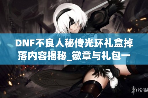 DNF不良人秘传光环礼盒掉落内容揭秘_徽章与礼包一览