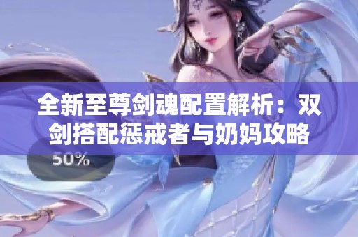 全新至尊剑魂配置解析：双剑搭配惩戒者与奶妈攻略