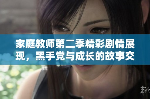 家庭教师第二季精彩剧情展现，黑手党与成长的故事交织