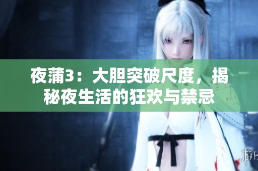 夜蒲3：大胆突破尺度，揭秘夜生活的狂欢与禁忌