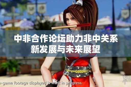 中非合作论坛助力非中关系新发展与未来展望