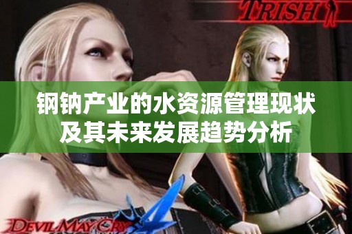 钢钠产业的水资源管理现状及其未来发展趋势分析