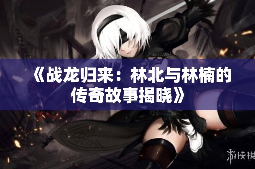 《战龙归来：林北与林楠的传奇故事揭晓》