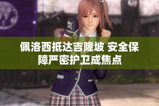佩洛西抵达吉隆坡 安全保障严密护卫成焦点