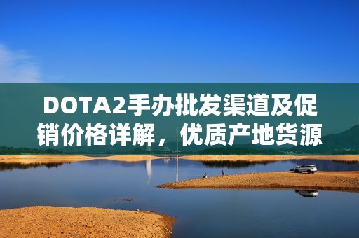 DOTA2手办批发渠道及促销价格详解，优质产地货源推荐