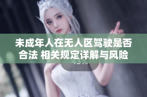 未成年人在无人区驾驶是否合法 相关规定详解与风险分析