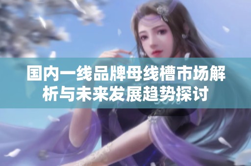 国内一线品牌母线槽市场解析与未来发展趋势探讨