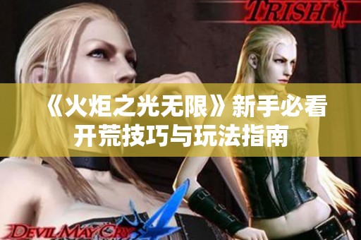 《火炬之光无限》新手必看开荒技巧与玩法指南