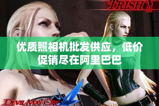 优质照相机批发供应，低价促销尽在阿里巴巴