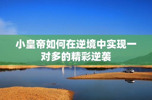 小皇帝如何在逆境中实现一对多的精彩逆袭