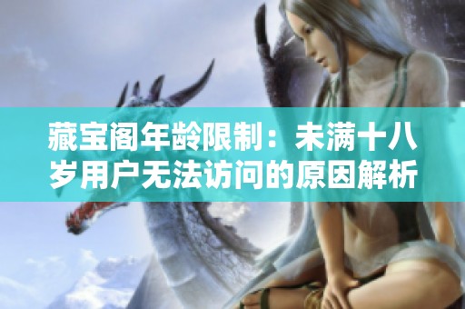藏宝阁年龄限制：未满十八岁用户无法访问的原因解析
