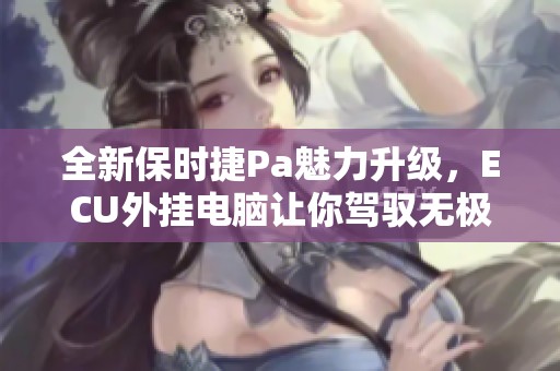 全新保时捷Pa魅力升级，ECU外挂电脑让你驾驭无极限
