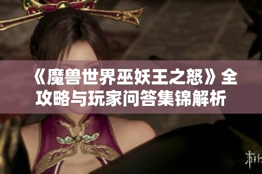 《魔兽世界巫妖王之怒》全攻略与玩家问答集锦解析
