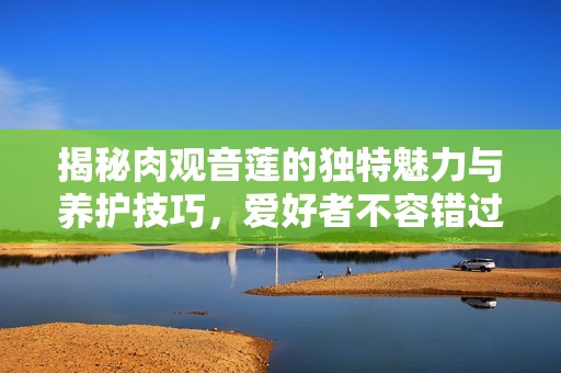 揭秘肉观音莲的独特魅力与养护技巧，爱好者不容错过