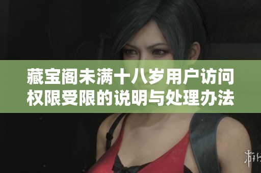 藏宝阁未满十八岁用户访问权限受限的说明与处理办法
