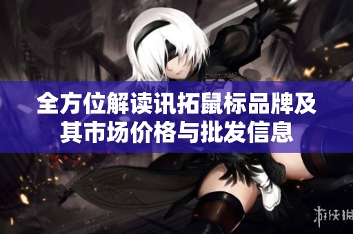 全方位解读讯拓鼠标品牌及其市场价格与批发信息