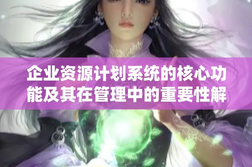 企业资源计划系统的核心功能及其在管理中的重要性解析