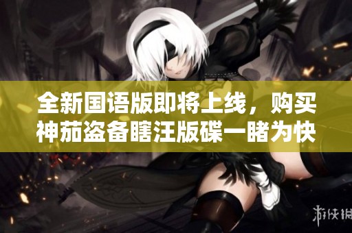 全新国语版即将上线，购买神茄盗备瞎汪版碟一睹为快