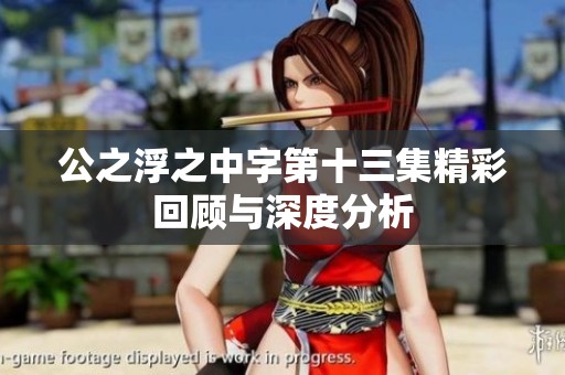 公之浮之中字第十三集精彩回顾与深度分析