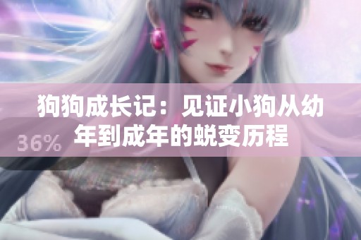 狗狗成长记：见证小狗从幼年到成年的蜕变历程