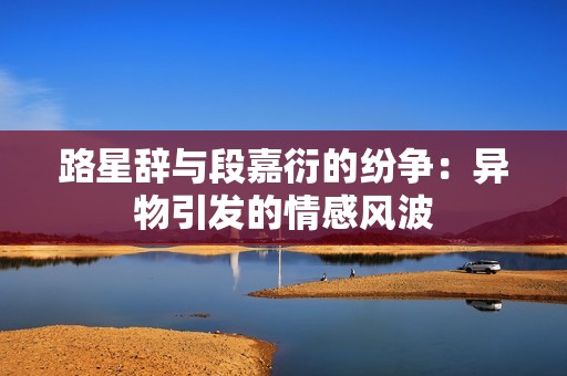 路星辞与段嘉衍的纷争：异物引发的情感风波