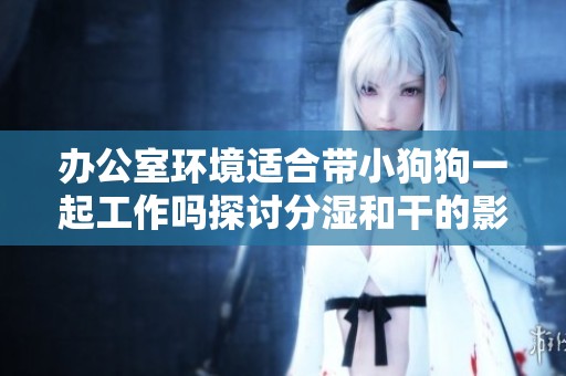 办公室环境适合带小狗狗一起工作吗探讨分湿和干的影响
