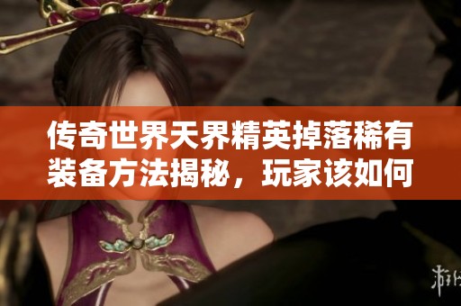 传奇世界天界精英掉落稀有装备方法揭秘，玩家该如何获取珍贵物品？