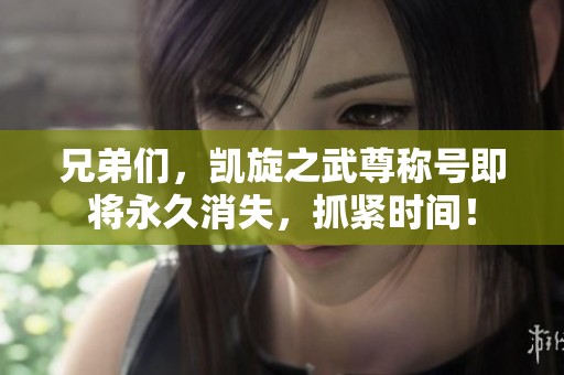兄弟们，凯旋之武尊称号即将永久消失，抓紧时间！