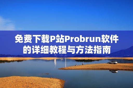 免费下载P站Probrun软件的详细教程与方法指南