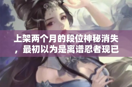 上架两个月的段位神秘消失，最初以为是离谱忍者现已无踪影