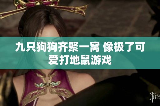 九只狗狗齐聚一窝 像极了可爱打地鼠游戏