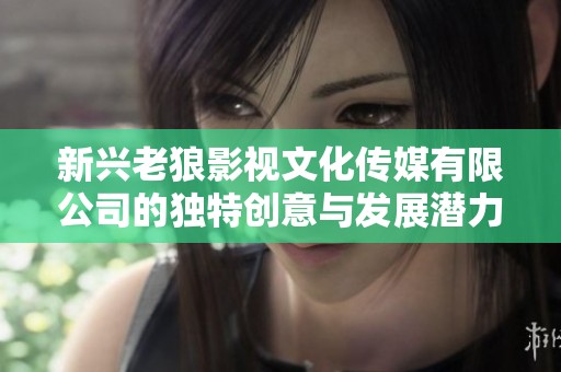 新兴老狼影视文化传媒有限公司的独特创意与发展潜力分析