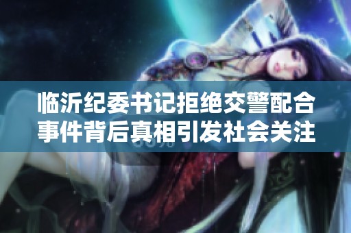 临沂纪委书记拒绝交警配合事件背后真相引发社会关注