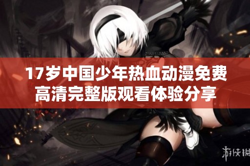 17岁中国少年热血动漫免费高清完整版观看体验分享
